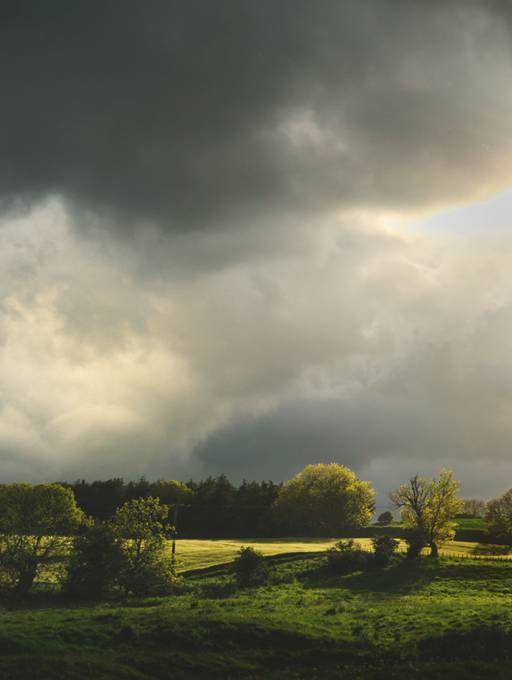 Evening Storm Approaching