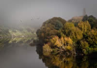 Ducks in a Row by Neil Gordon