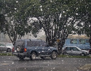 Snow in Waikanae 15 August 2011