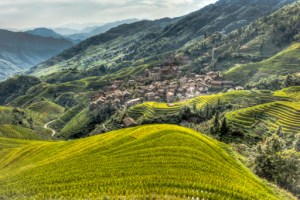 Second - "Rice Terrace Country" by Neil Gordon