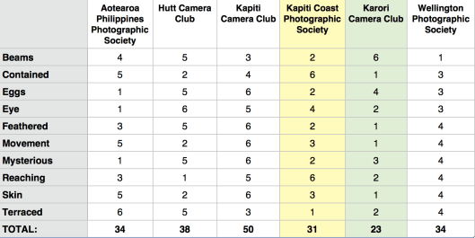 Wellington Interclub Print Battle Results 2013
