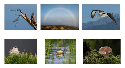 20045302_10156458216288146_8894115672986397120_o