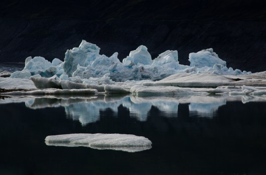 Blue Ice.Carol Molineux.O.jpg