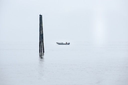 Minimal - Carol Molineux