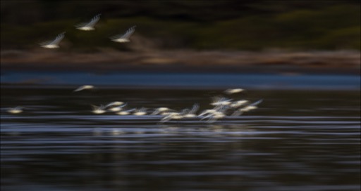 On The Move - Gavin Klee