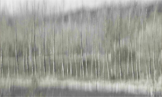 EP Ghostly trees (Impressionist)