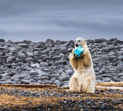 'Plastic scourge on remote Arctic island'